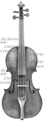 1704cViolino a.jpg