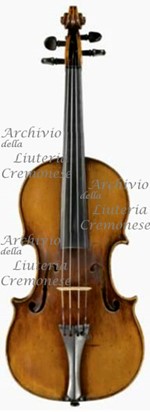 1710cViolino3 a.jpg