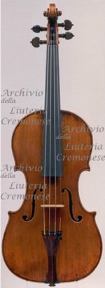 1715cViolino a.jpg