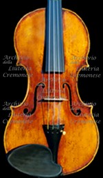 1717CViolino2 a.jpg