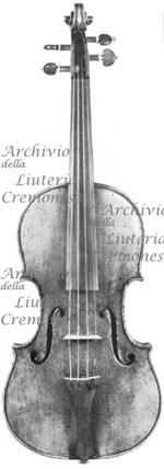 1730ViolinoCorti a.jpg