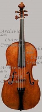 1732Viola a.jpg