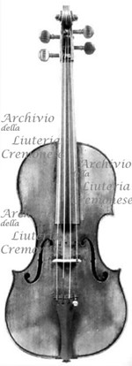 1732ViolinoColNolloth a.jpg