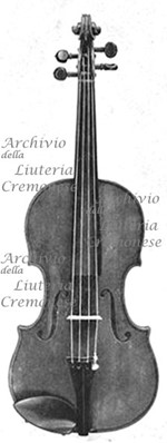 1733ViolinoSoil a.jpg