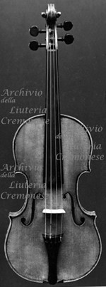 1733ViolinoTschudi a.jpg