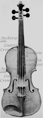 1736cViolino a.jpg