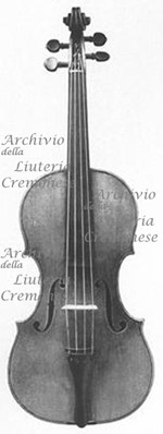 1736ViolinoSzerdahely a.jpg