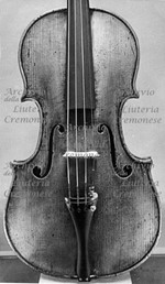 1737-42Viola a.jpg