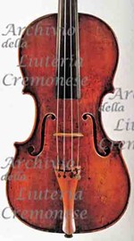 1742Viola a.jpg