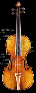 1744cViolino a.jpg