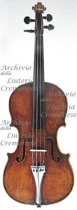 1765cViolino a.jpg