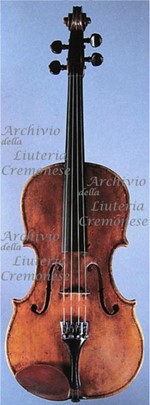 1767-1801Viola a.jpg