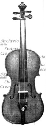 176xViolino a.jpg