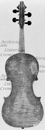 1772cViolino c.jpg