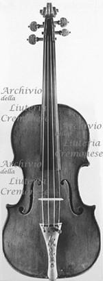 1775cViolino a.jpg