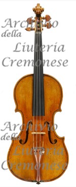 1780cViolino8 a.jpg