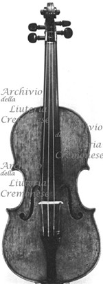 1780cViolino a.jpg