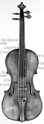 1782cViolino a.jpg