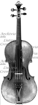 1784Viola a.jpg