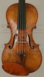 1785cViolino2 a.jpg