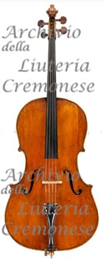 1785cVioloncello a.jpg 1785cVioloncello a.jpg