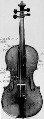 1790cViolino5 a.jpg