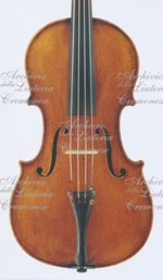 1792Viola a.jpg