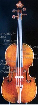 1795cViola a.jpg