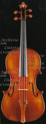 1800-05Viola a.jpg