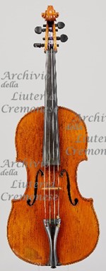 1800cViola a.jpg