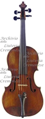 1800cViola a.jpg