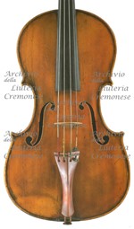 1803-08Viola a.jpg