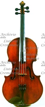 1808cViola a.jpg