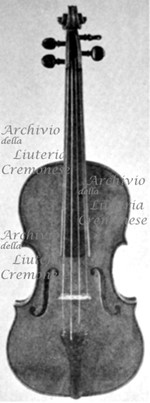 1810cViolino3 a.jpg