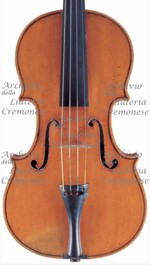 1865cViolino a.jpg