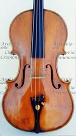 1879-1925Viola a.jpg