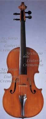 1890cViola a.jpg