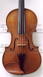 1890cViolino3 a.jpg