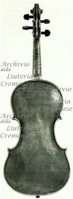 1890cViolino4 c.jpg