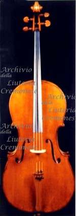 1901Violoncello a.jpg