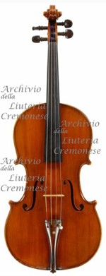 1909Viola a.jpg