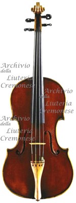 1911Viola a.jpg