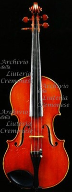 1921Viola a.jpg