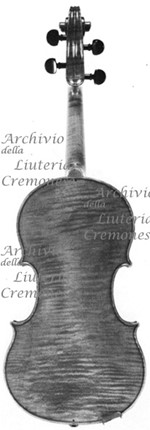 1924Violino5 c.jpg