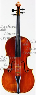 1966Viola a.jpg