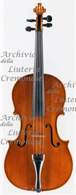 1973Viola a.jpg