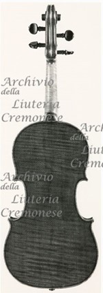 1974Violino c.jpg