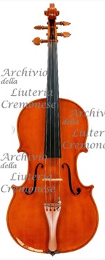 1977Viola a.jpg