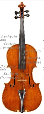 1978 - Viola a.jpg