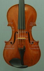 1978Viola a.jpg